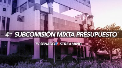 Cuarta Subcomisión Especial Mixta Presupuesto - AM
