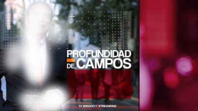 Profundidad de Campos - Senador José Miguel Insulza