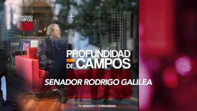Profundidad de Campos - Senador Rodrigo Galilea
