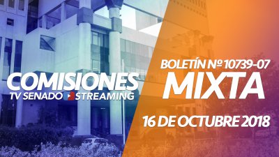 Comisión Mixta - Boletín Nº 10739-07 (Cohecho) Comisión Mixta - Boletín Nº 10739-07 (Cohecho)