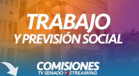 TRB ► 14 DE AGOSTO 2019 TRB ► 14 DE AGOSTO 2019
