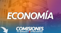 ECO ► 17 DE JULIO 2019 ECO ► 17 DE JULIO 2019