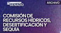RRHH►03 DE JUNIO