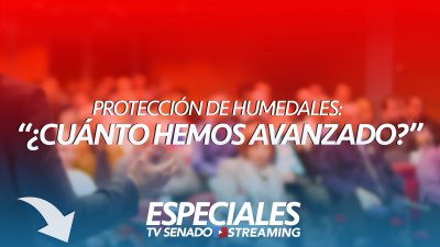 Seminario: Protección de Humedales "¿Cuánto hemos avanzado?" Seminario: Protección de Humedales "¿Cuánto hemos avanzado?"
