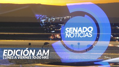 Senado Noticias - Edición AM Senado Noticias - Edición AM