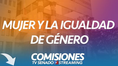 Comisión de la Mujer y la Igualdad de Género Comisión de la Mujer y la Igualdad de Género