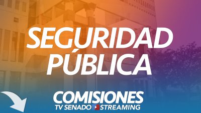Comisión de Seguridad Pública Comisión de Seguridad Pública