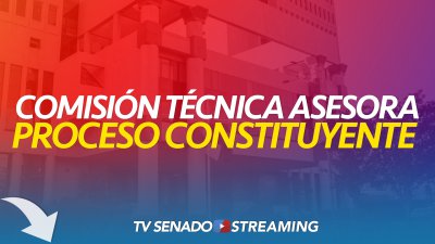Proceso Constituyente - 26 DE NOVIEMBRE Proceso Constituyente - 26 DE NOVIEMBRE