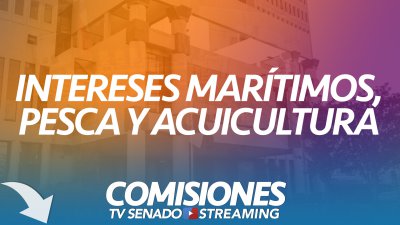 Comisión de Intereses Marítimos, Pesca y Acuicultura Comisión de Intereses Marítimos, Pesca y Acuicultura