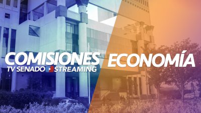 Comisión de Economía Comisión de Economía