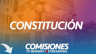 Comisión de Constitución Comisión de Constitución
