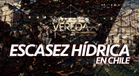 En la Vereda - Reportajes En la Vereda - Reportajes