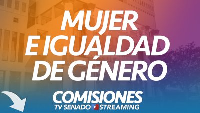 Comisión de Mujer y la Igualdad de género Comisión de Mujer y la Igualdad de género
