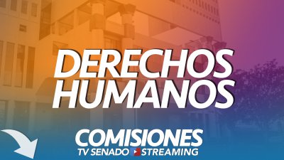 Comisión de Derechos Humanos Comisión de Derechos Humanos