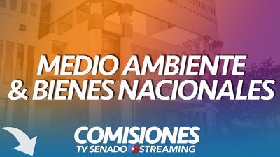 Comisión de Medio Ambiente y Bienes Nacionales Comisión de Medio Ambiente y Bienes Nacionales