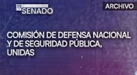 DEFN►07 DE JULIO