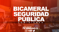 BICAMERAL SEG ► 07 DE MAYO 2021 BICAMERAL SEG ► 07 DE MAYO 2021