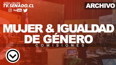 Comisión de la Mujer y la Igualdad de Género Comisión de la Mujer y la Igualdad de Género