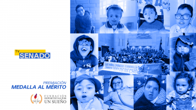 Medalla al Mérito Deportistas por un Sueño Medalla al Mérito Deportistas por un Sueño