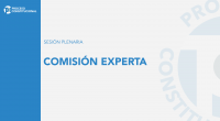 CE SESIÓN PLENARIA ► 29 DE MARZO 2023