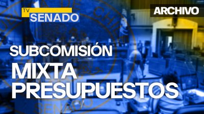 Quinta Subcomisión Mixta de Presupuestos Quinta Subcomisión Mixta de Presupuestos