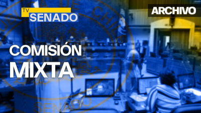 Comisión Mixta - Boletín Nº 15509-07 (Estado de excepción)