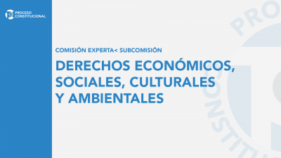 Comisión Experta | Subcomisión - Derechos Económicos, Sociales, Culturales y Ambientales