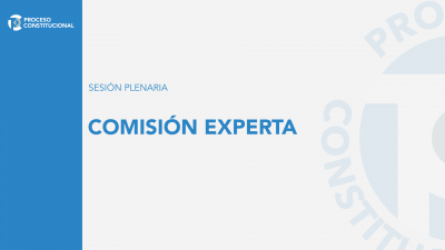 Comisión Experta | Sesión Plenaria Comisión Experta | Sesión Plenaria