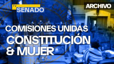 Comisión de Constitución, Legislación, Justicia y Reglamento y de la Mujer y Equidad de Género, unidas