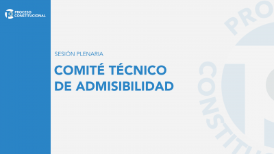 Comité Técnico de Admisibilidad | Sesión Plenaria