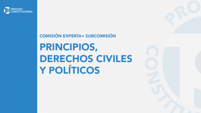 Comisión Experta | Subcomisión - Principios, Derechos Civiles y Políticos