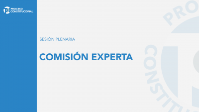 Comisión Experta | Sesión Plenaria
