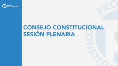 Consejo Constitucional