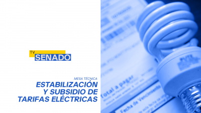 Mesa de Trabajo: Estabilización y subsidio de tarifas eléctricas
