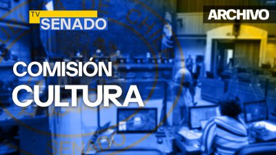 Comisión de Cultura, Patrimonio, Artes, Deportes y Recreación