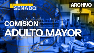 Comisión del Adulto Mayor y Discapacidad