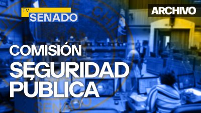 Comisión de Seguridad Pública