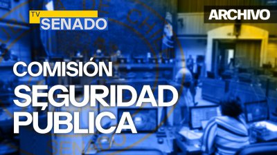 Comisión de Seguridad Pública Comisión de Seguridad Pública