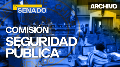 Comisión de Seguridad Pública Comisión de Seguridad Pública