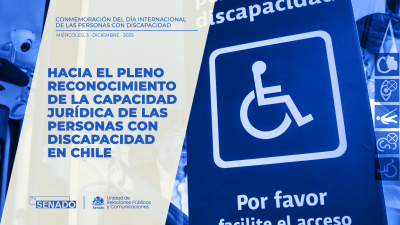 Hacia el Pleno Reconocimiento de la Capacidad Jurídica de las Personas con Discapacidad en Chile