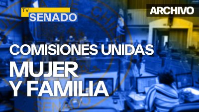 Comisión de la Mujer y Equidad de Género y de Familia, Infancia y Adolescencia, unidas.