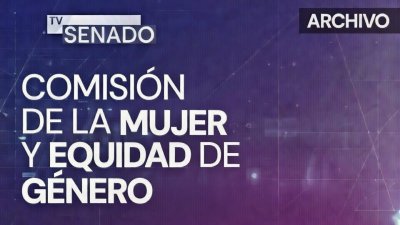 Comisión de la Mujer y Equidad de Género