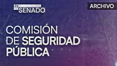 Comisión de Seguridad Pública