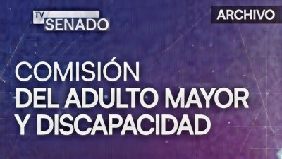 Comisión del Adulto Mayor y Discapacidad