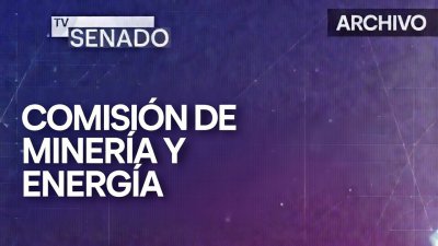 Comisión de Minería y Energía
