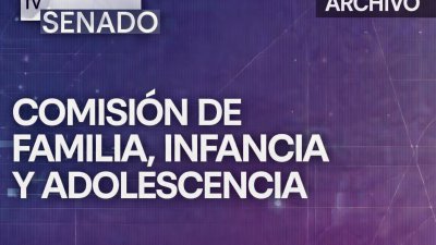 Comisión de Familia, Infancia y Adolescencia